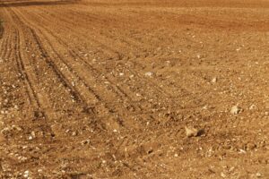pole - suchá půda