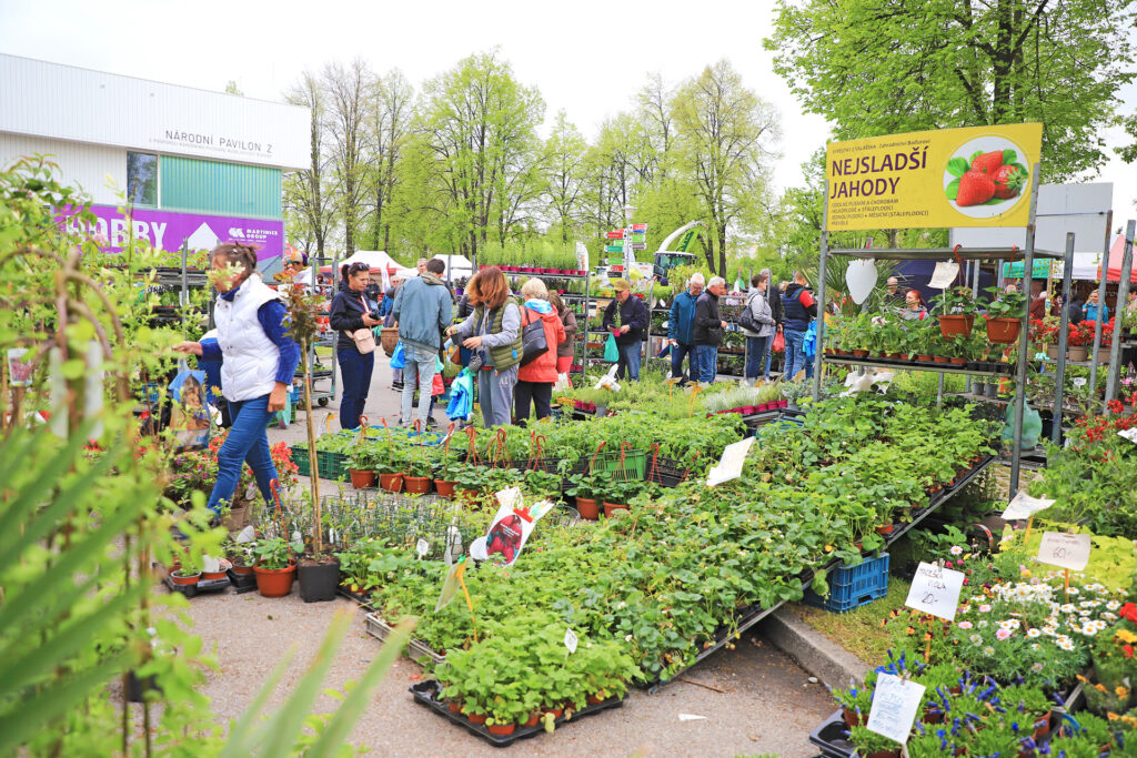 Výstava Hobby České Budějovice